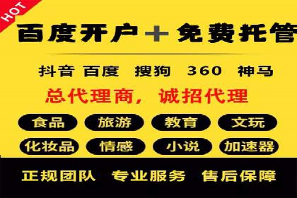 初学者的百度竞价推广：成功案例揭秘